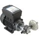 UP3/AC 230V 50 HZ Gear Pump 10 Litres/Minute
