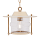 Ceiling Light (With Chain & Ceiling Rose) - Brass