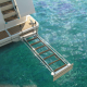 SI 401 Bathing Ladder