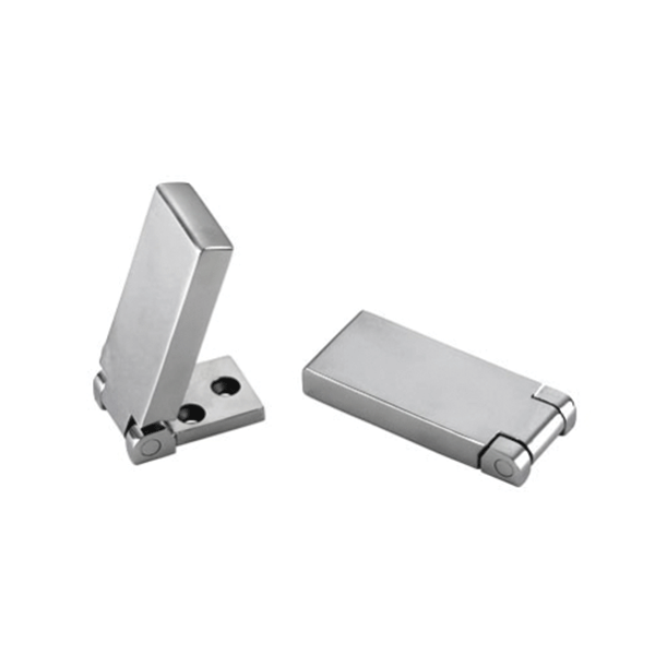 Flush Hinge - Stainless Steel