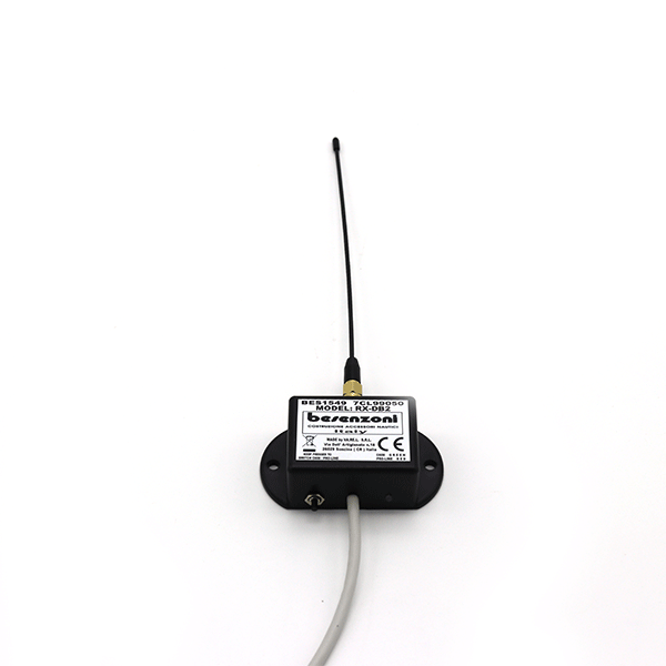 Radio Receiver with Cable for Besenzoni Passerelles