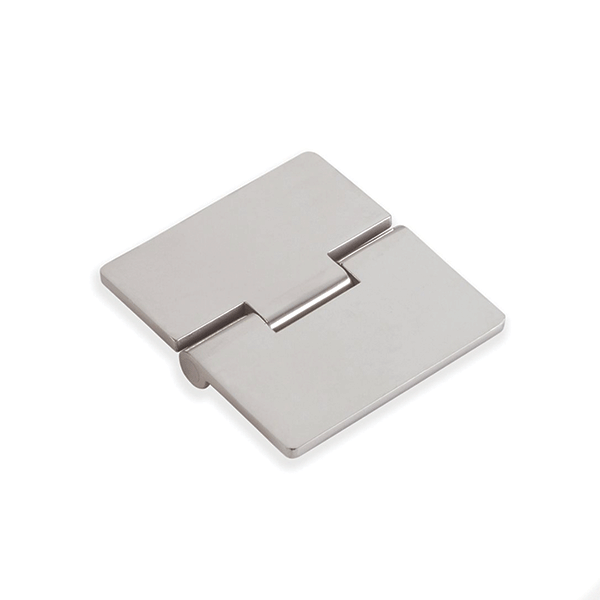 Flush Hinge - Stainless Steel